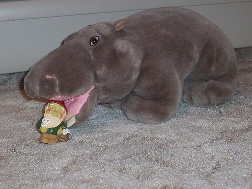 gnomeandhippo.jpg