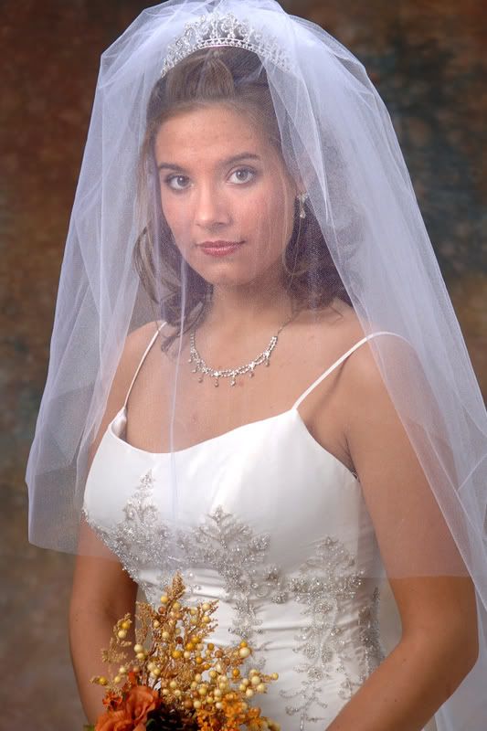 Bridal Veil Inspiration