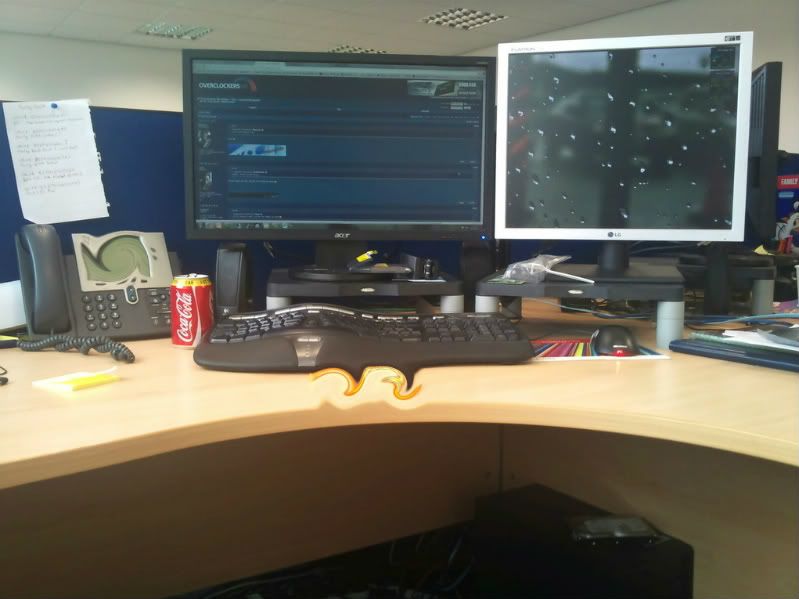 2011-06-08112258.jpg