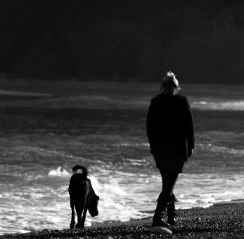 2acfdc247dd1db893f4937a5c9fc83bb