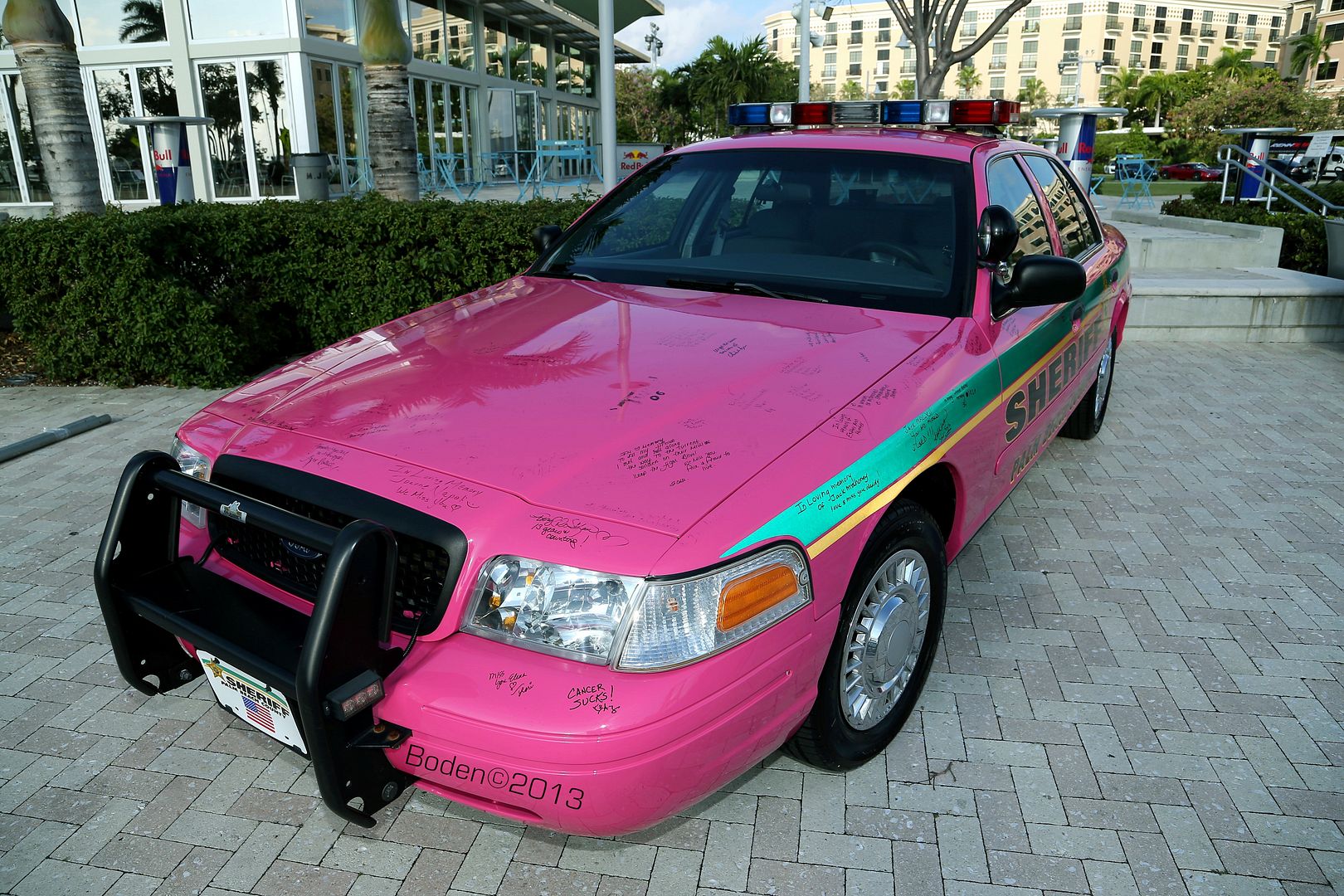 AQ5T5727.jpg