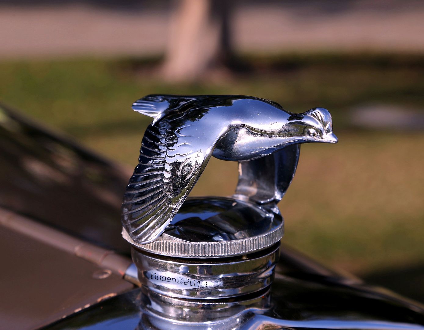 AQ5T5733.jpg