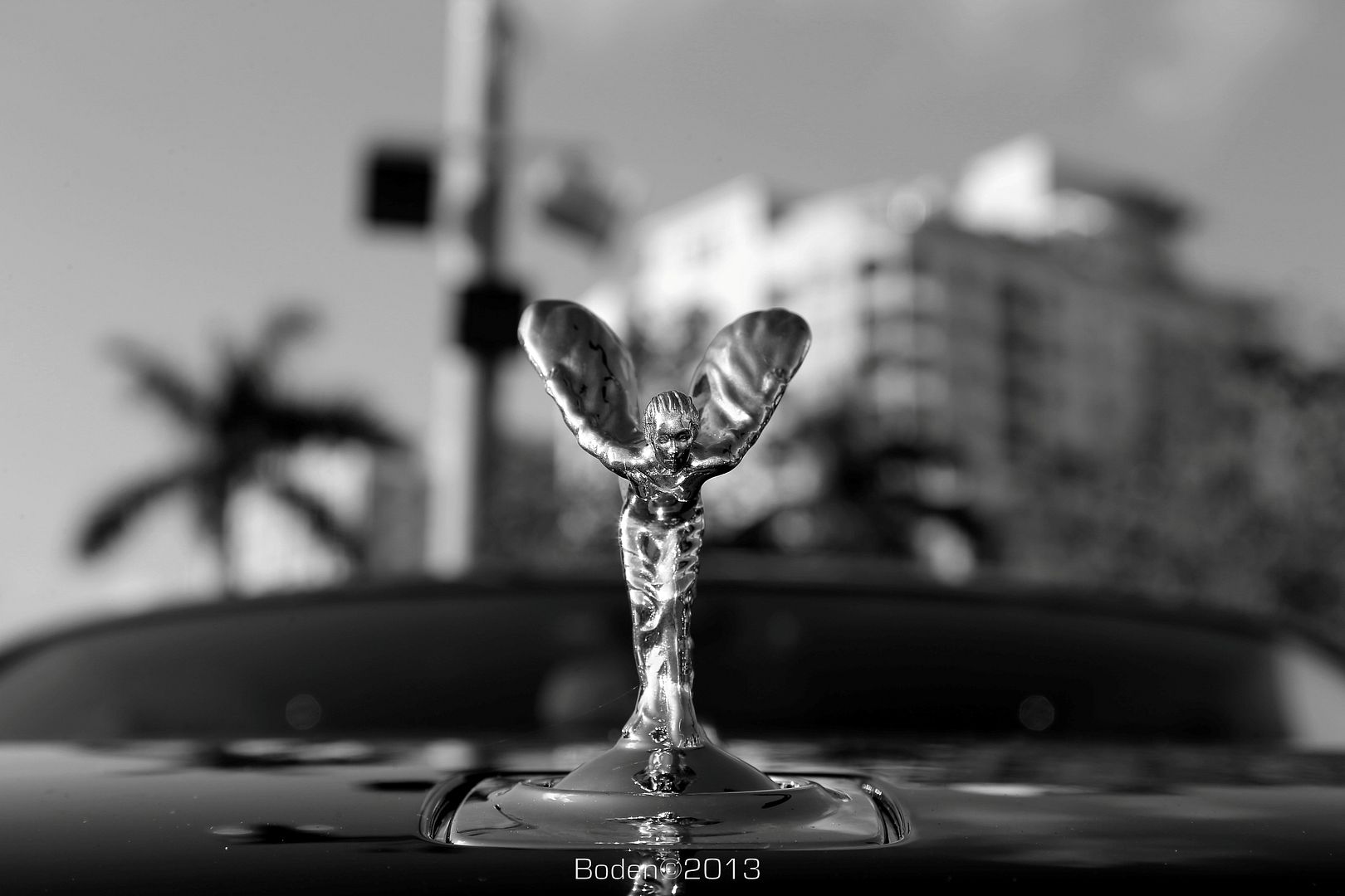 AQ5T5736.jpg