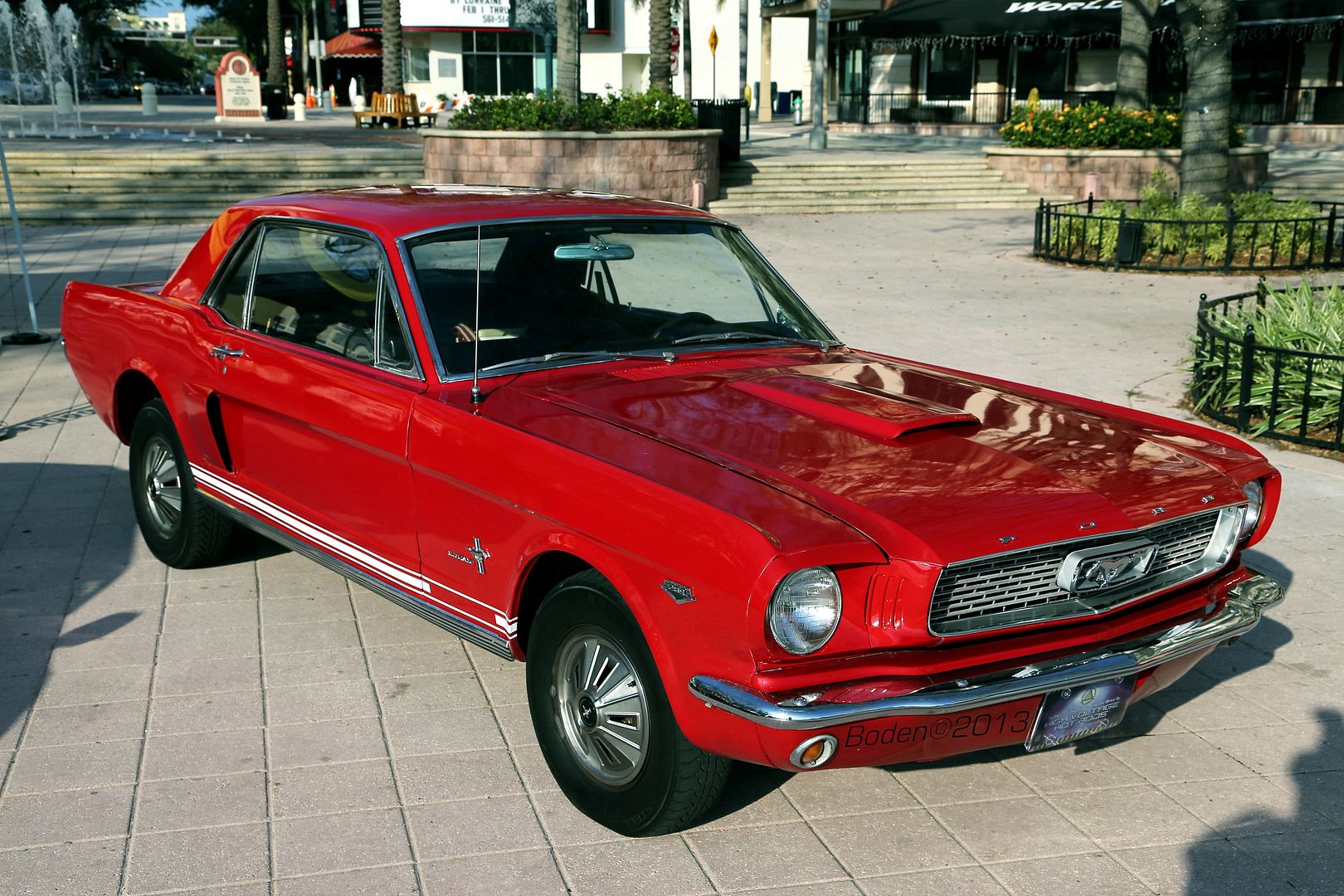 AQ5T5743.jpg
