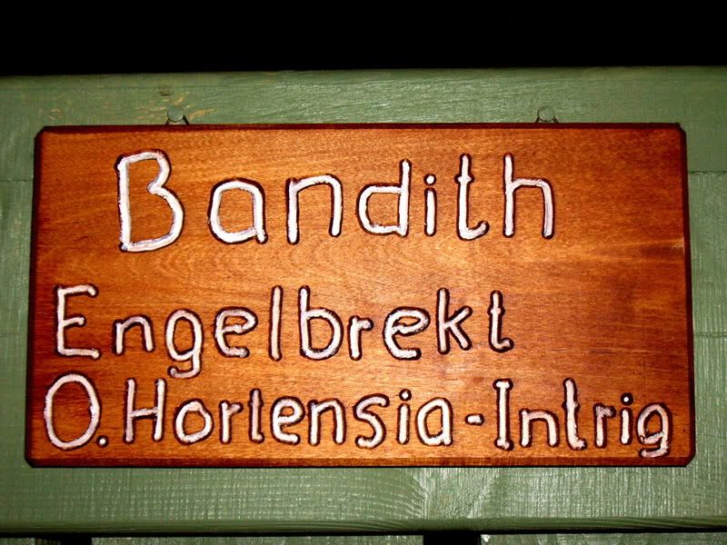 IMGP0679.jpg
