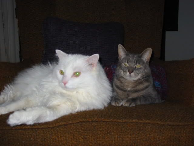 Pamuk and Maddie