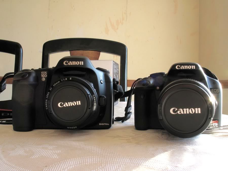 IMAGE: http://i103.photobucket.com/albums/m127/johnson_n/IMG_2241.jpg