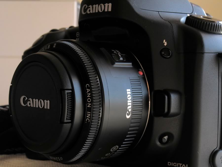 IMAGE: http://i103.photobucket.com/albums/m127/johnson_n/IMG_2249.jpg