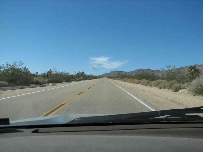 IMG_1181.jpg