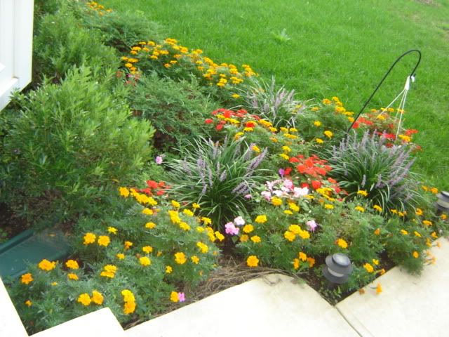 Gardenp.jpg Colorfull Garden 06 image by Hamtaro_786 Gardenp.jpg Colorfull Garden 06 image by Hamtaro_786