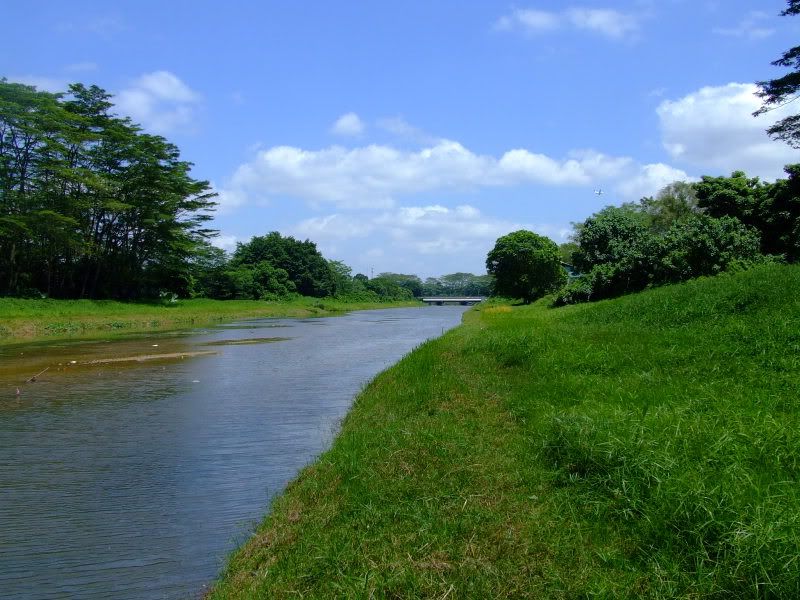 Mandai Reservoir