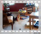 Photobucket - Video and Image Hosting