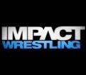 logo_TNA.jpg