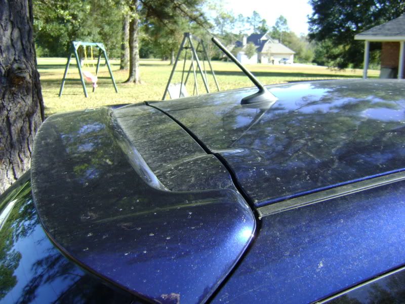 DSC03233.jpg