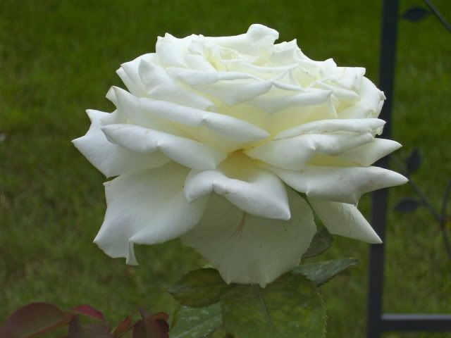 Photo Sharing and Video Hosting at Photobucket