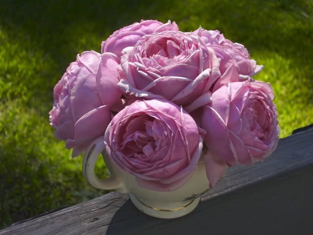 Photo Sharing and Video Hosting at Photobucket