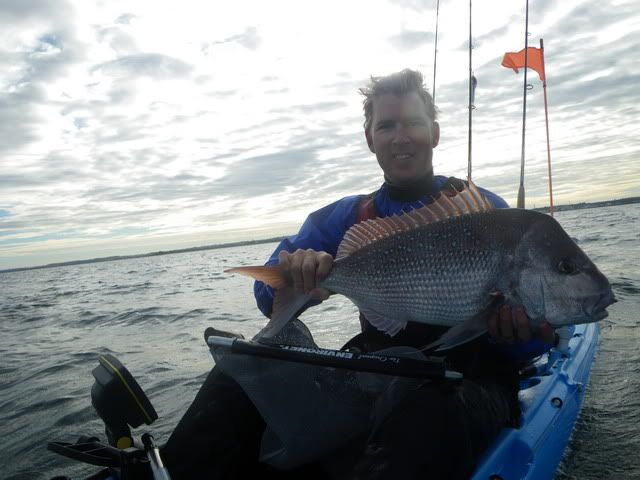 First fish of the day snaffled a Atomic soft placcie!
