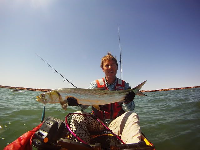 Giant Herring on a Kayak Brett Ozanne Giant Herring