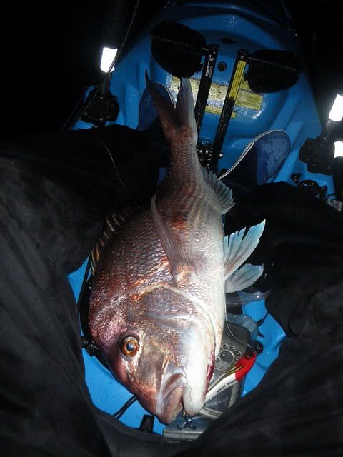 Great winter Pinky!!! Worth getting wet, cold and blown around for!