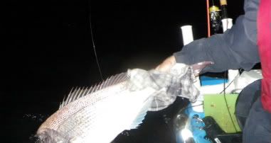 Seeya next time buddy, 10cm bigger please!