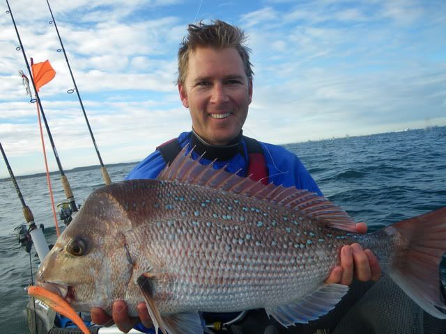 Second fish, went closer to 80cm, slammed a Gulp on the sink, put up a great fight on the 14lb outfit!