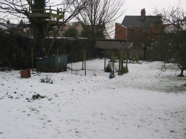 008-3.jpg