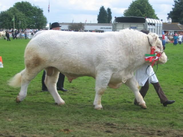 MSE075.jpg