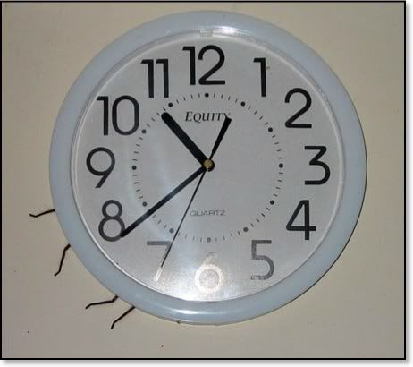 clock spider Pictures, Images and Photos