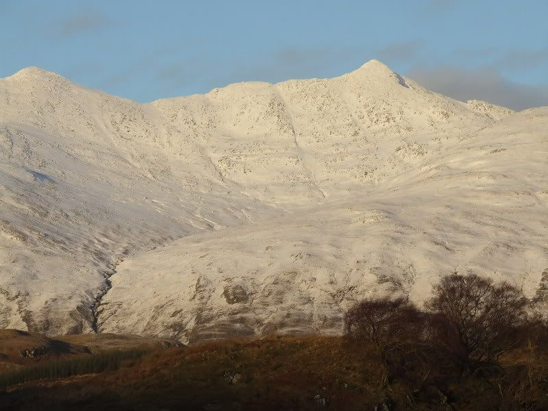 DSCF0704.jpg