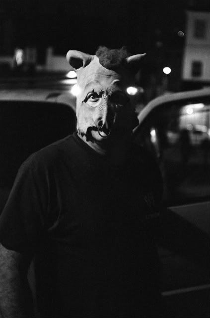 38220030a.jpg
