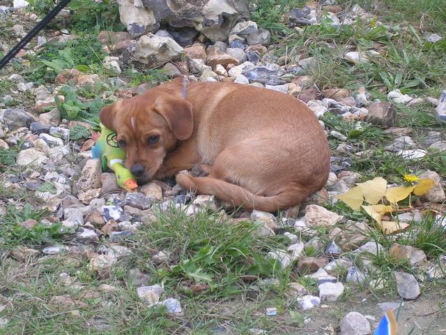 DSCN1170.jpg