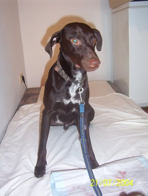 jestersemmel17_0217.jpg