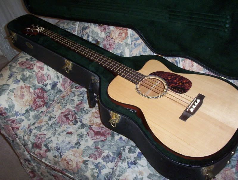 FS Martin BC16GTE acoustic / electric bass bluegrass upright sound 1275