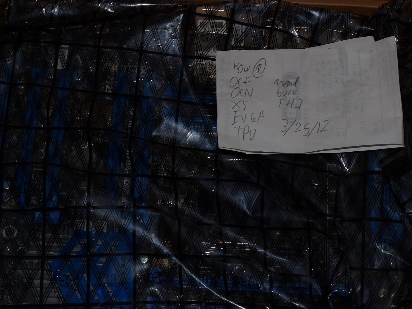 P1014073.jpg