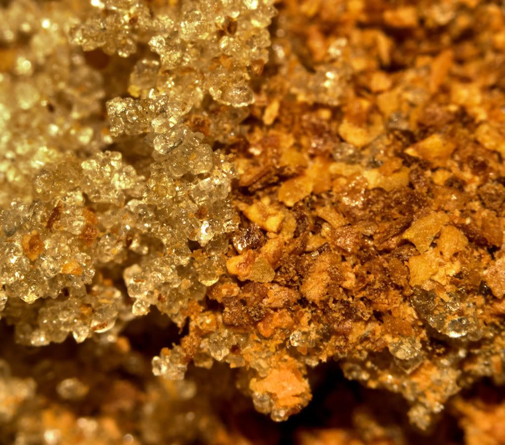 IMAGE: http://i103.photobucket.com/albums/m139/gerbalhunter/BBQCombo.jpg