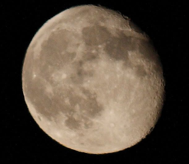 IMAGE: http://i103.photobucket.com/albums/m139/gerbalhunter/Moon/DuhMoon.jpg