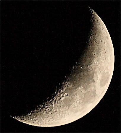 IMAGE: http://i103.photobucket.com/albums/m139/gerbalhunter/Moon/November15thMoon.jpg