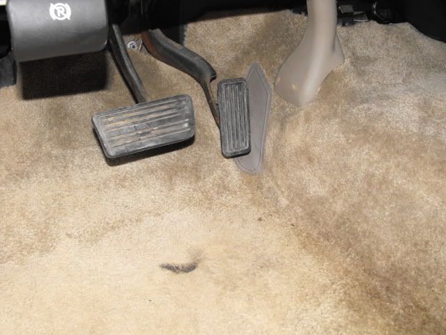010.jpg