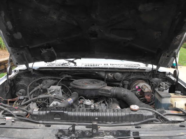 2009_0923f350830005.jpg