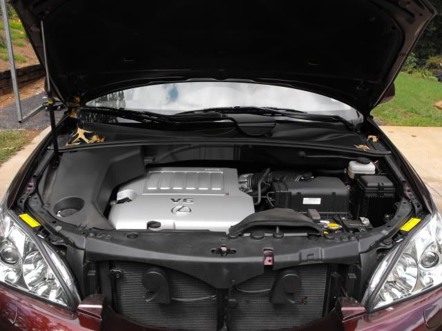 2009_0927090003.jpg