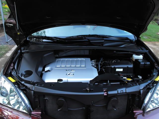 2009_0927090006.jpg