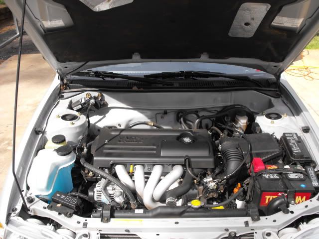 2009_1004toy0004.jpg
