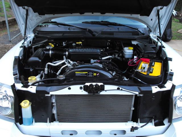 2009_1018Dodge0005.jpg