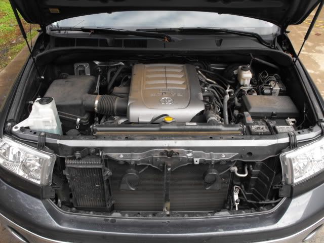 2009_1025Tundra0004.jpg