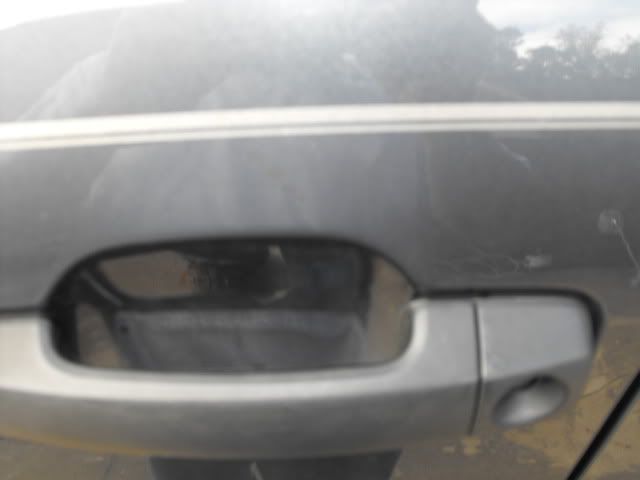 2009_1025Tundra0006.jpg