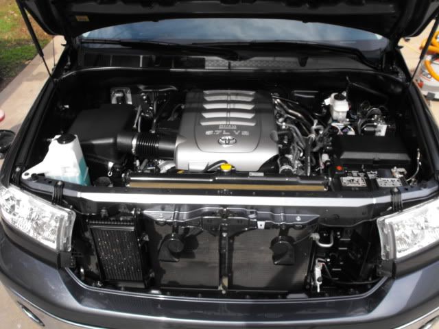 2009_1025Tundra0007.jpg