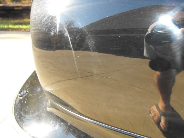 2009_1108Jag0006.jpg