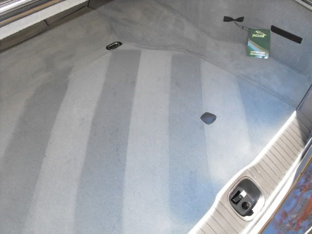 2009_1108Jag0015.jpg