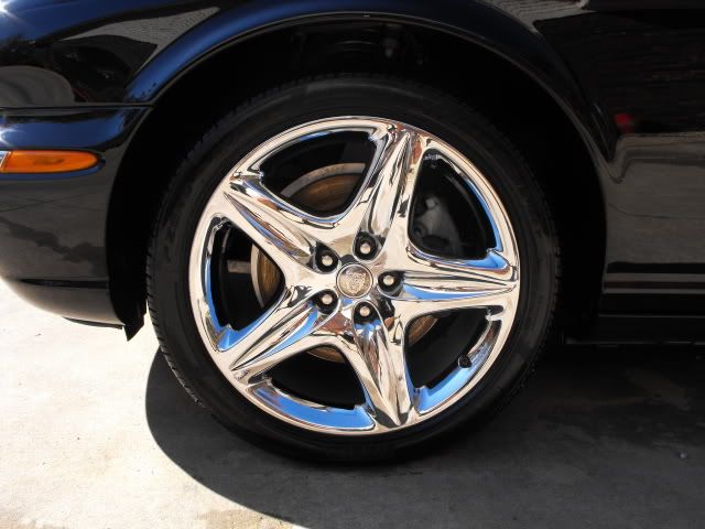 2009_1108Jag0019.jpg