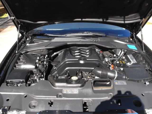 2009_1108Jag0022.jpg